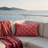 image_accacd09-369d-4004-9fc9-41ab83c80feb
