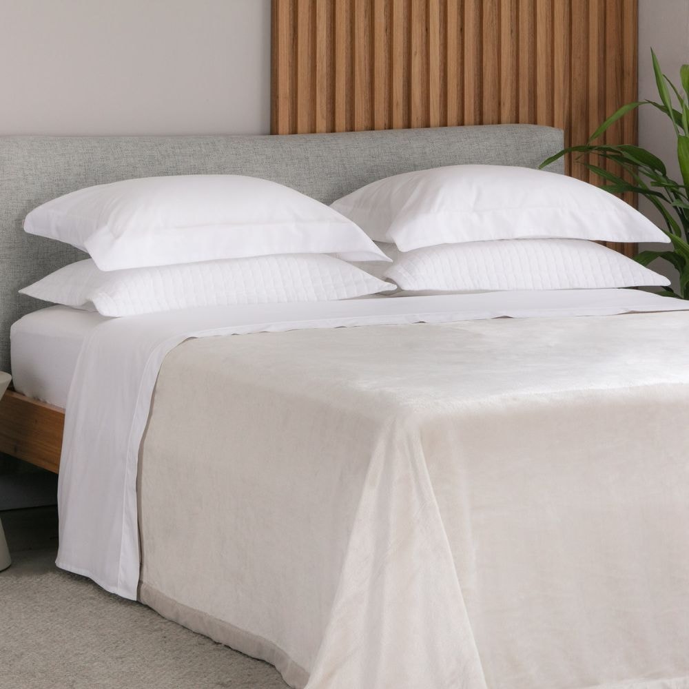 Product main image - 365edb74-e7d1-4726-81e4-ee3df9c3f395