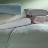 image_e95e508c-3981-4474-8839-9d4f9e967e14