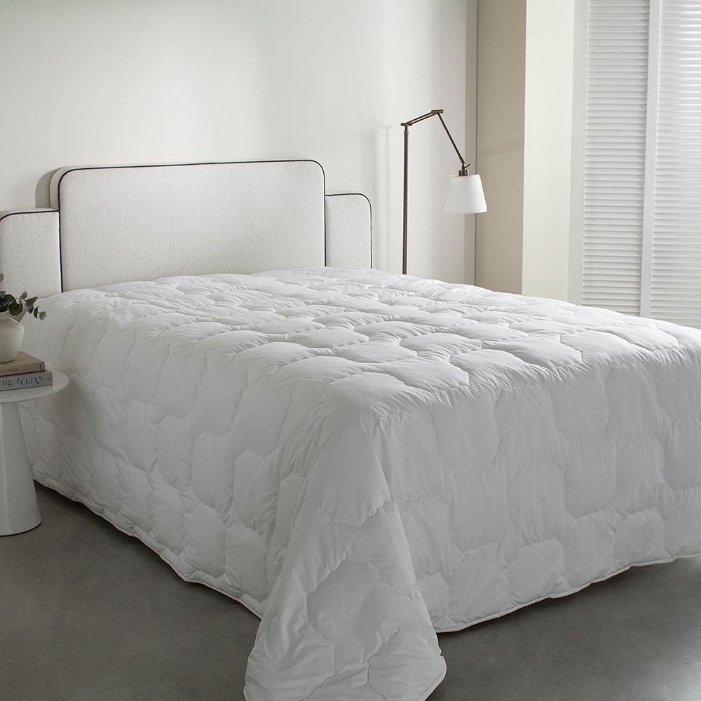 Product main image - 6d79b80c-bf46-4681-ab4d-4a6b40b1f6da