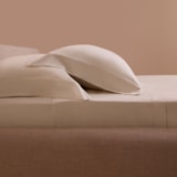 image_43f08e03-b033-45a8-8b16-61e0b8ef65b9