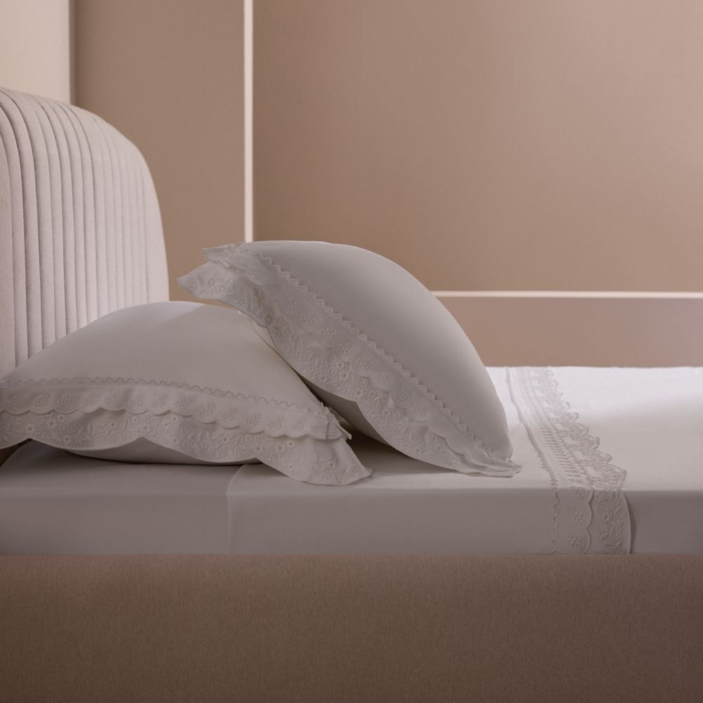 Branco c-bord.Branco