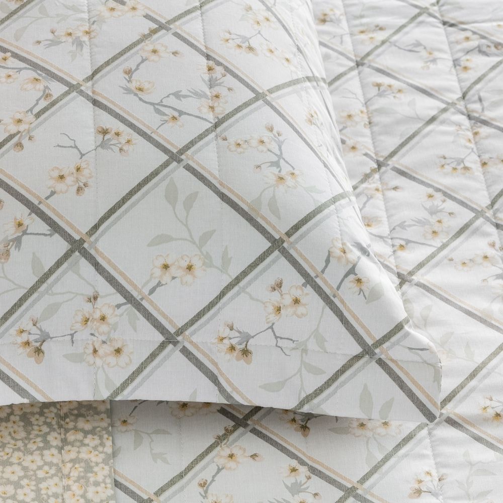 Product main image - 25e40cad-b5b2-4ed1-a24f-3c93f6ba0071